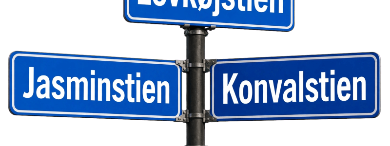 4_skilt_kryds