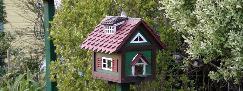 regenwolke0-bird-house-507401_1920